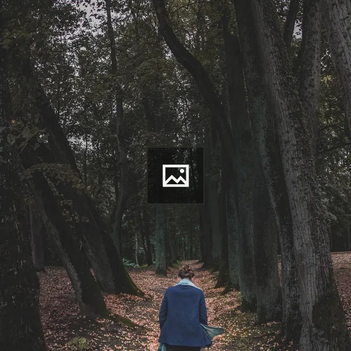 Person Walking on Leaf-Covered Forest Path