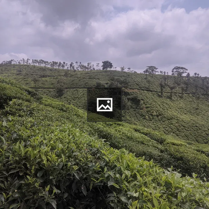 Tea garden sky ready for rain