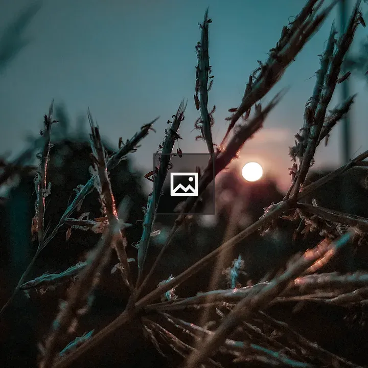 Nature Sunset Scene