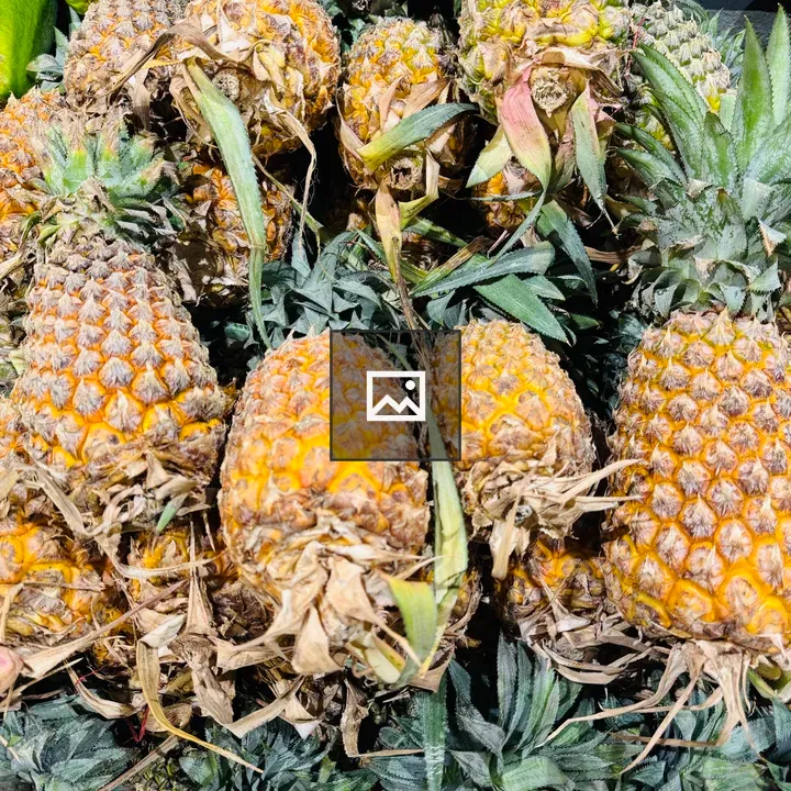 Pineapples in Market Display