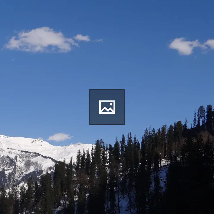 Snow Covering Mountain and Forest