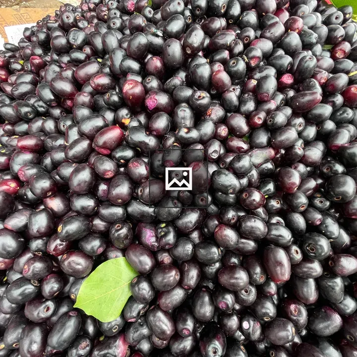 Hundreds of jamun fruits on display