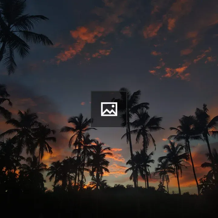Silhouette of Coconut Trees at Sunset