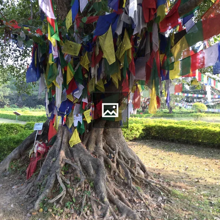 Body tree with prayer flags