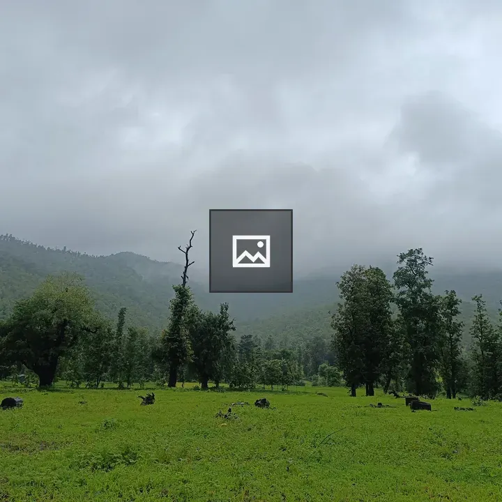 Lush green field with distant mountains