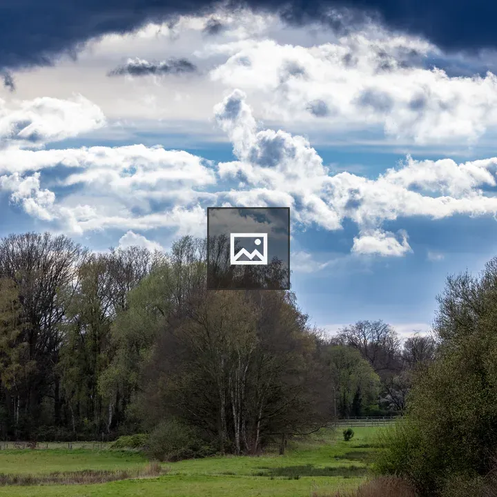 Meadows and Trees Under a Cloudy Sky