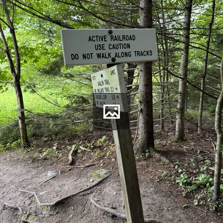 White Trail Sign in Woods
