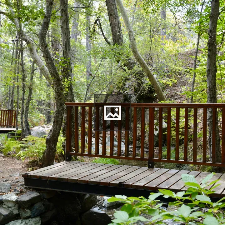 Forest with Wooden Bridge in Cyprus