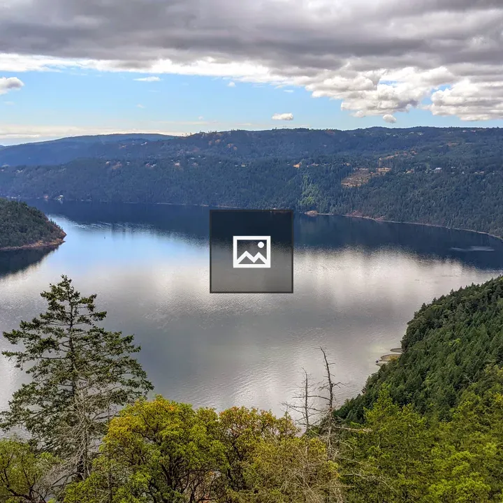 View from Malahat Skywalk