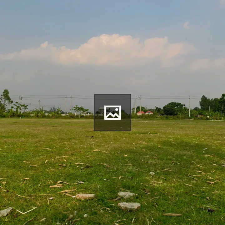 Open grassy field landscape