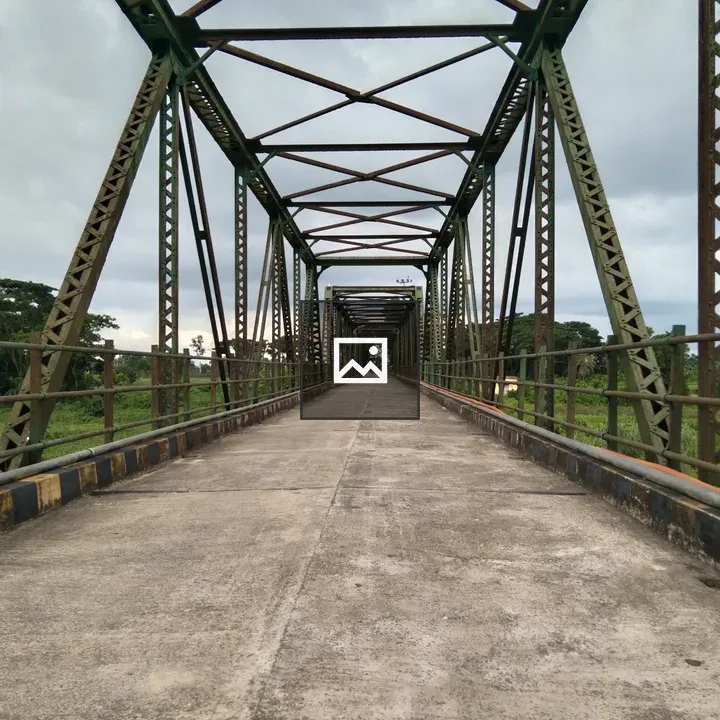 Bridge with concrete deck and girders