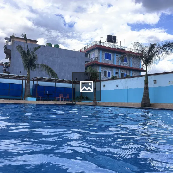 Blue Pool with Palm Trees