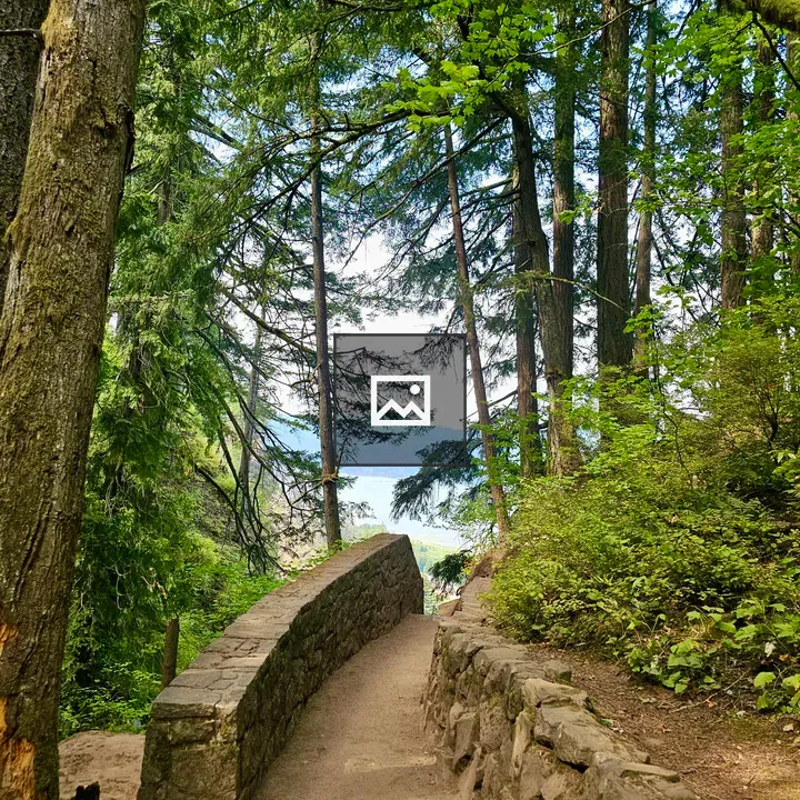 Dirt Trail Through Green Forest