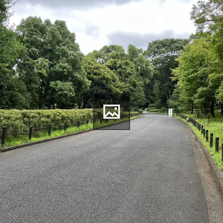 Girl Walking on a Tree-lined Road