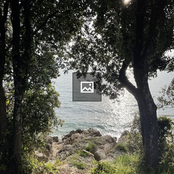 Rocky shoreline through trees