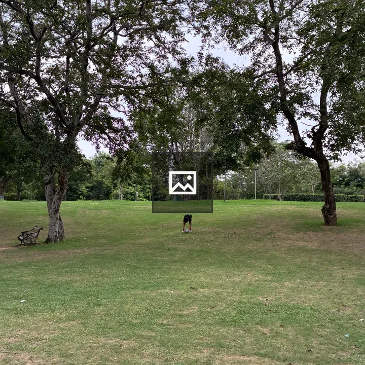 Park Scene with Trees and Bench