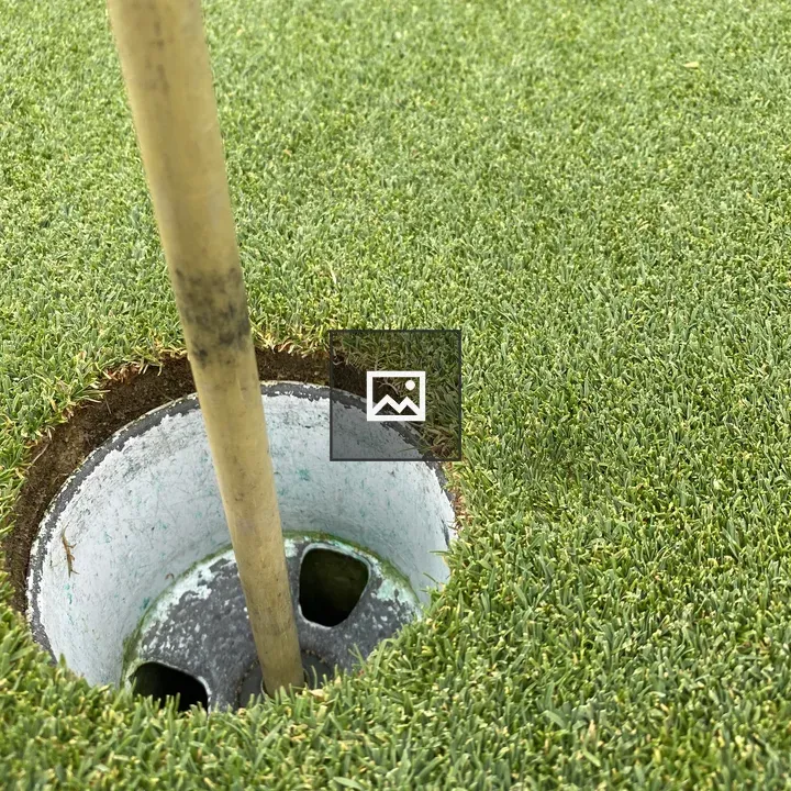 Close up of golf cup and flagstick