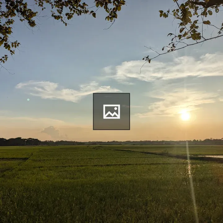 Serene Sunset Over Green Field