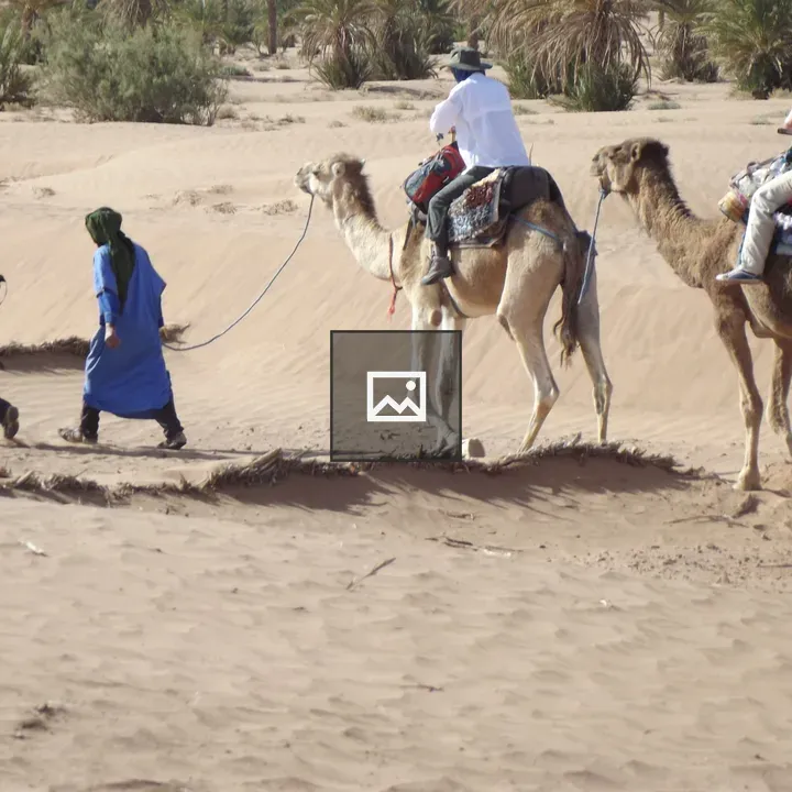 Camel trekking in the Sahara