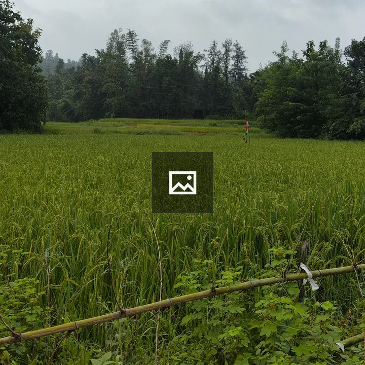 Green field with blue sky background