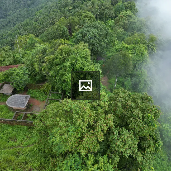 Temple Inside Forest