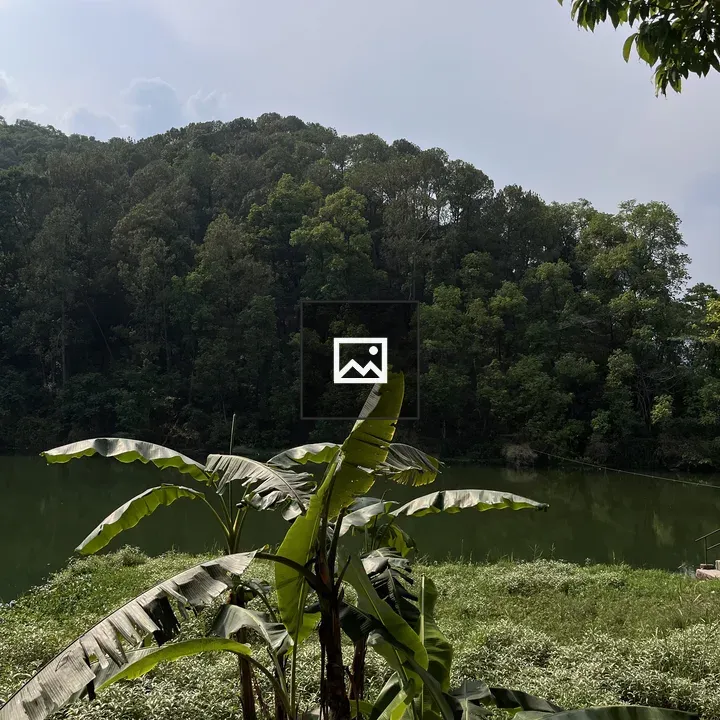 Banana Leaves by Water