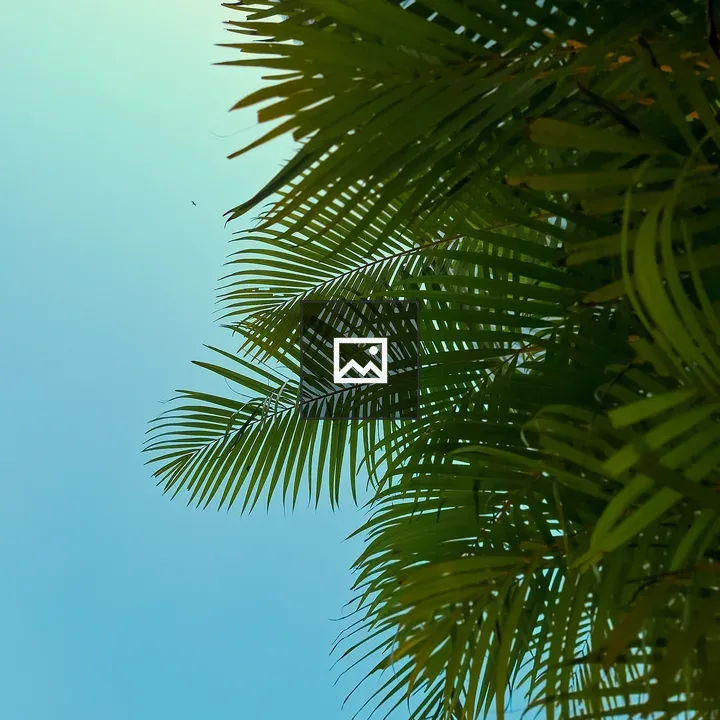 Leaves with blue sky