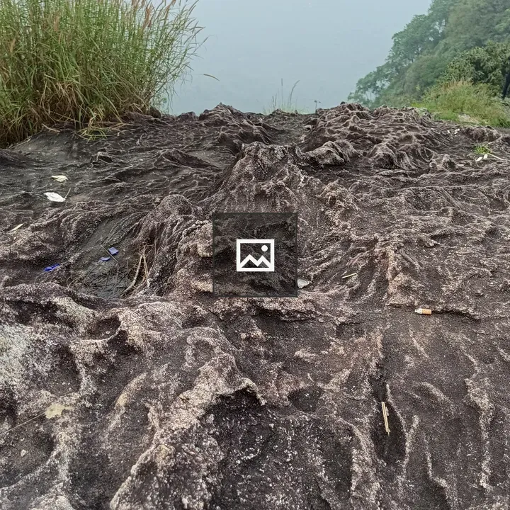 Rock Layer Edge with Feather Grass