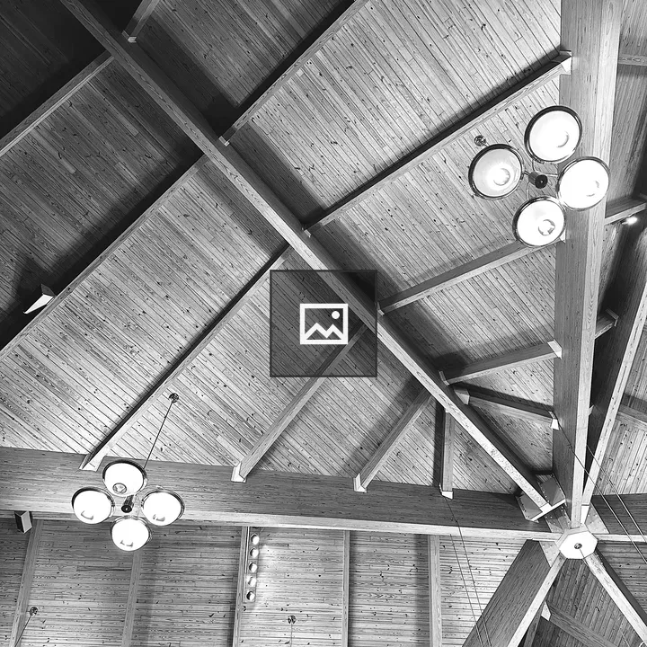 Wood Ceiling Architecture