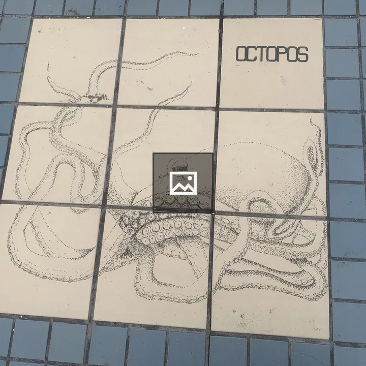 Octopus on Tile at Higashinami Beach
