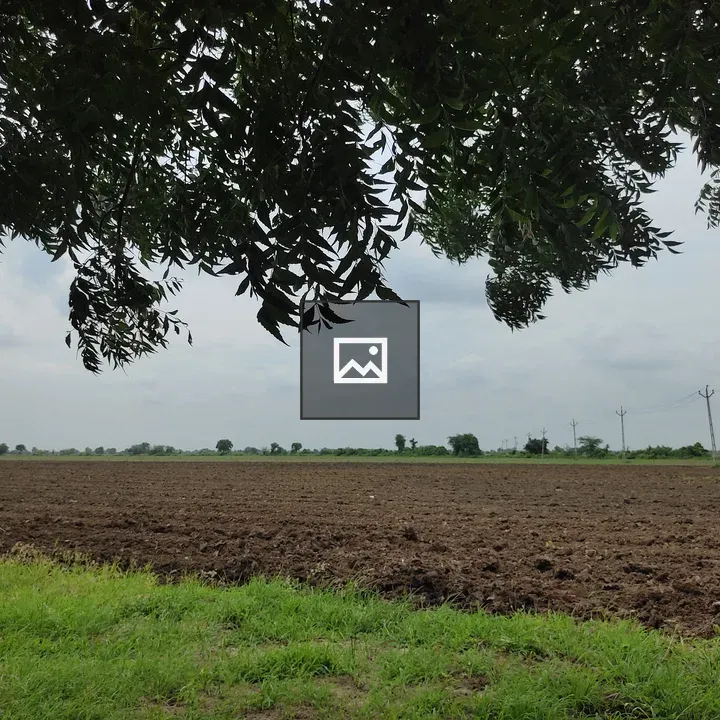 A Plowed Field