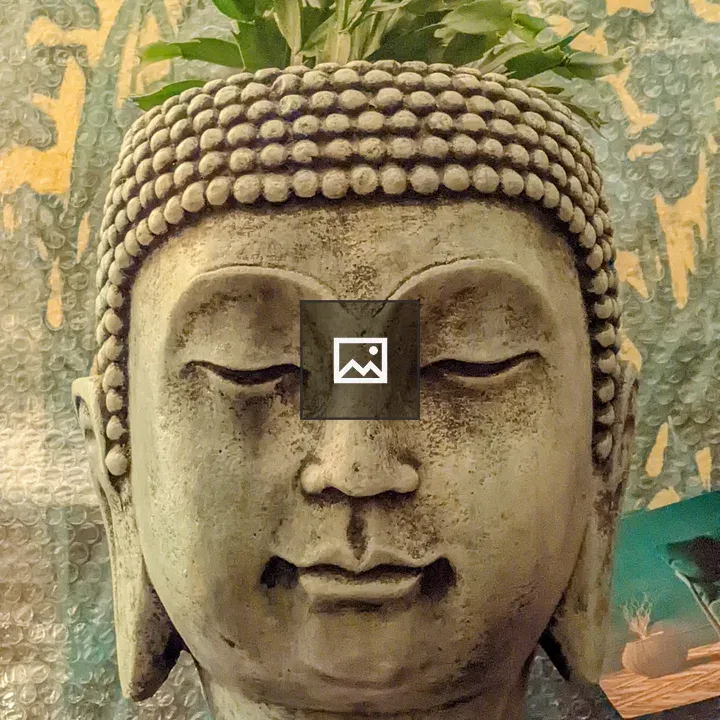 Buddha head with succulent