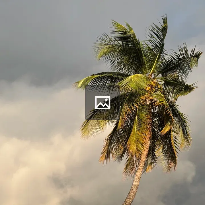 Coconut palm against cloudy sky