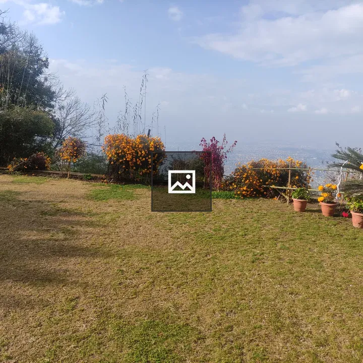 Garden with orange and red flowers