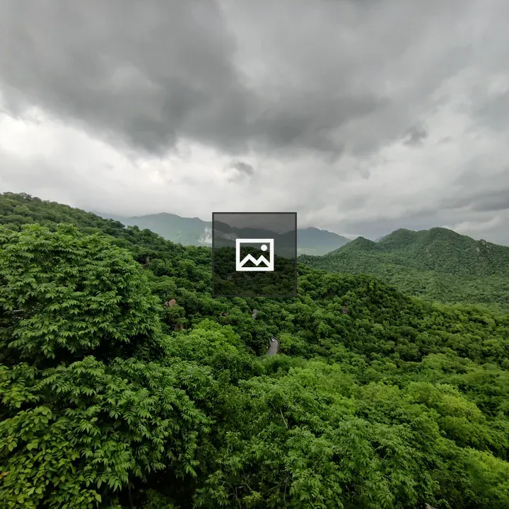 Road through green hills and forest