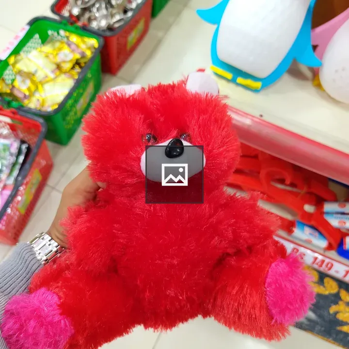 Red Plush Bear Held in Hand