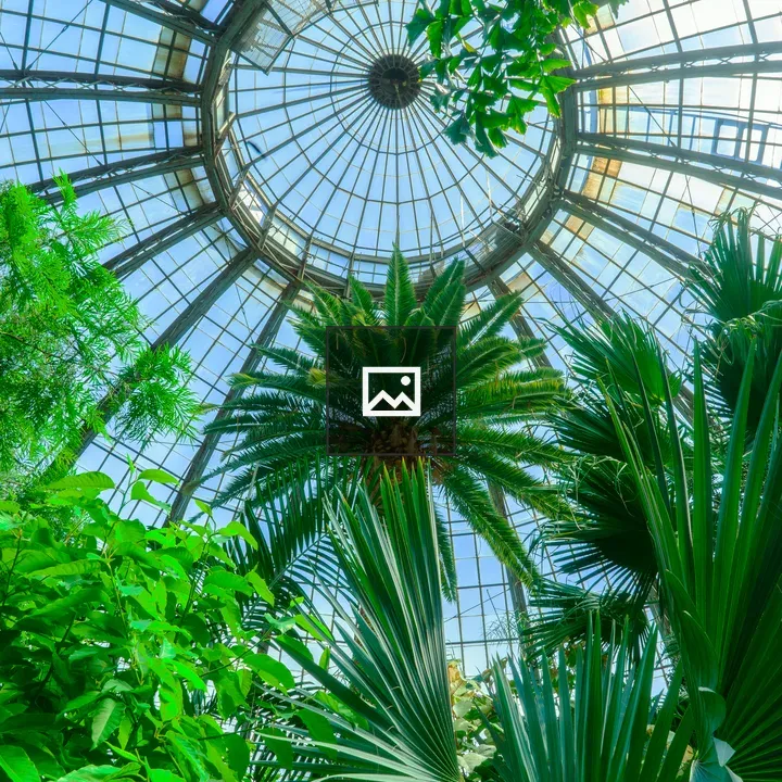 Palm House at Anna Scripps Whitcomb Conservatory