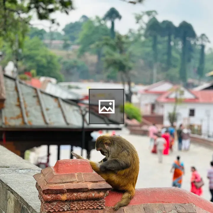 Monkey on terracotta stair rail
