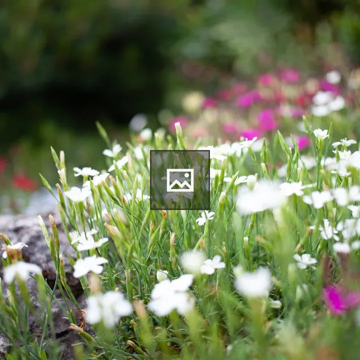 Small flowers on green background
