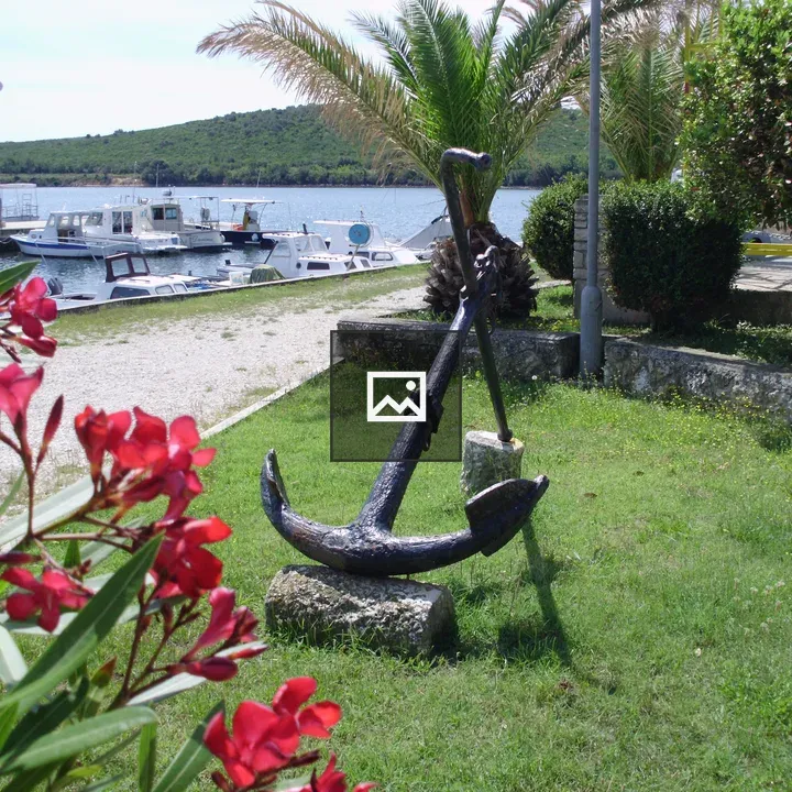 Anchor near marina with greenery