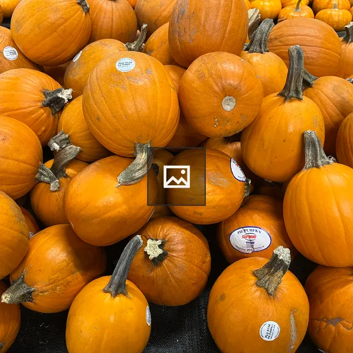 Pumpkin ready for pie