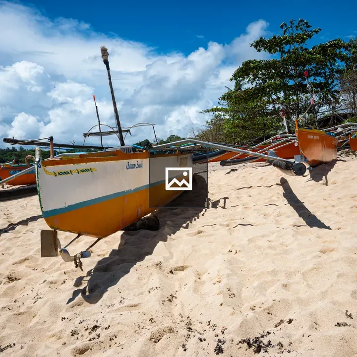 Boats on sandy beach