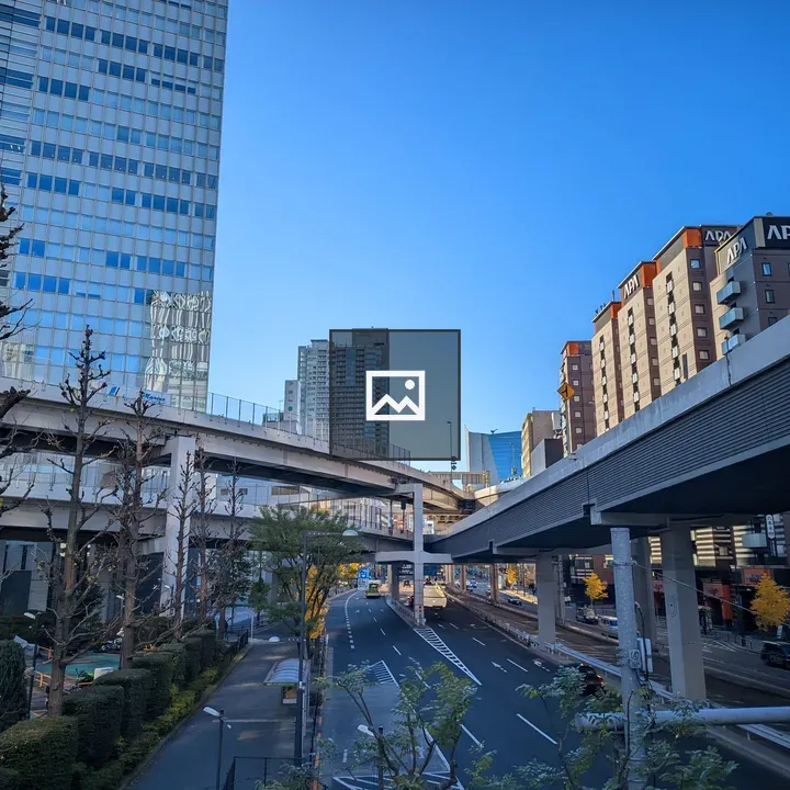 Road in Tokyo with Flyover