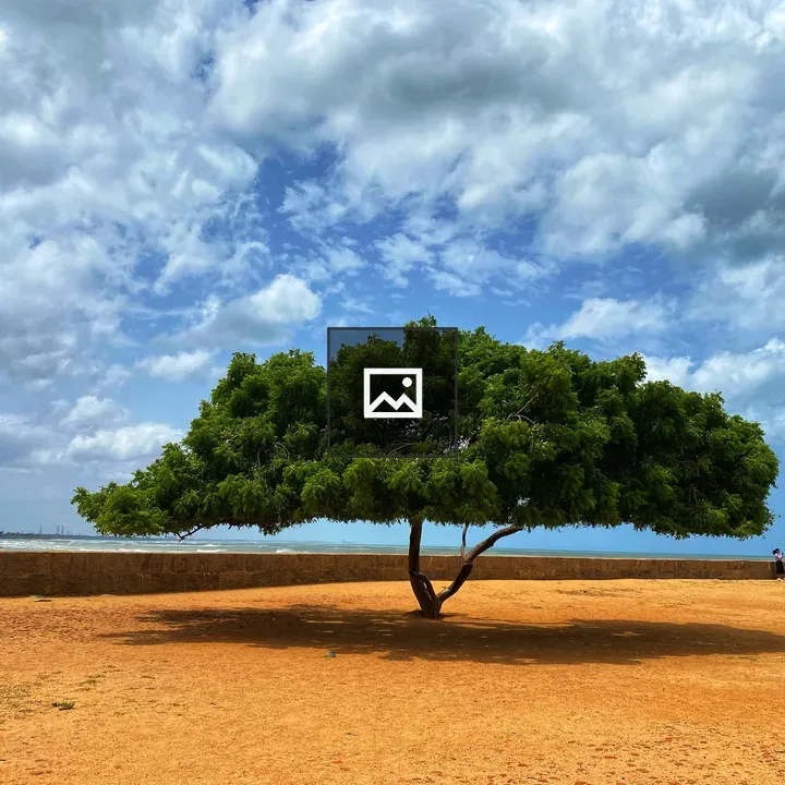 Solitary Green Tree at Fort