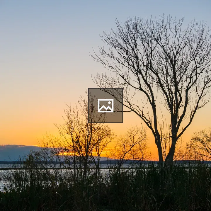 Sunset over Lake Apopka