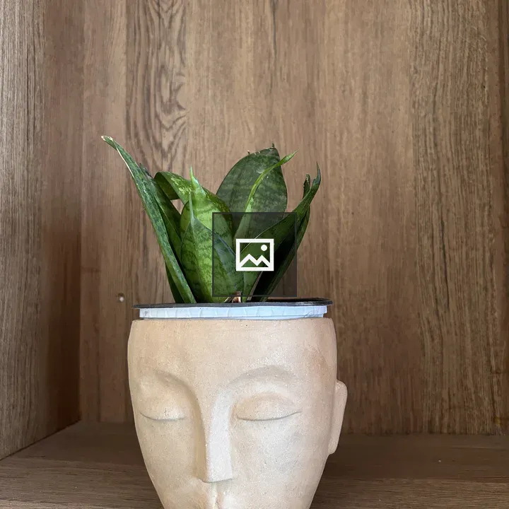 Decorative face-shaped planter
