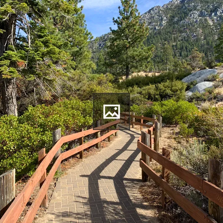 Trail Path Through The Forest