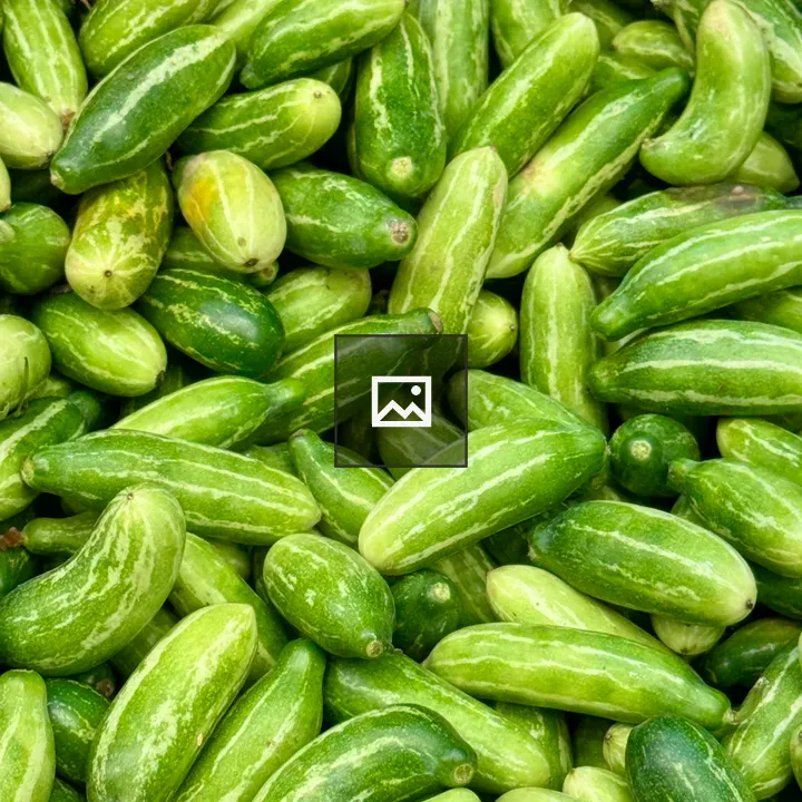 Ivy Gourd Close-Up