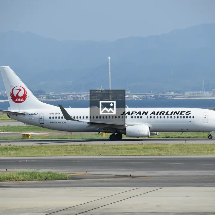 Japan Airlines Boeing 737-800 at Itami Airport