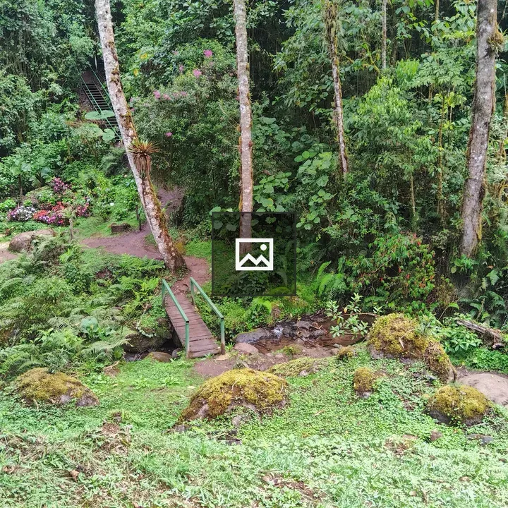 Wooden Bridge Over Stream